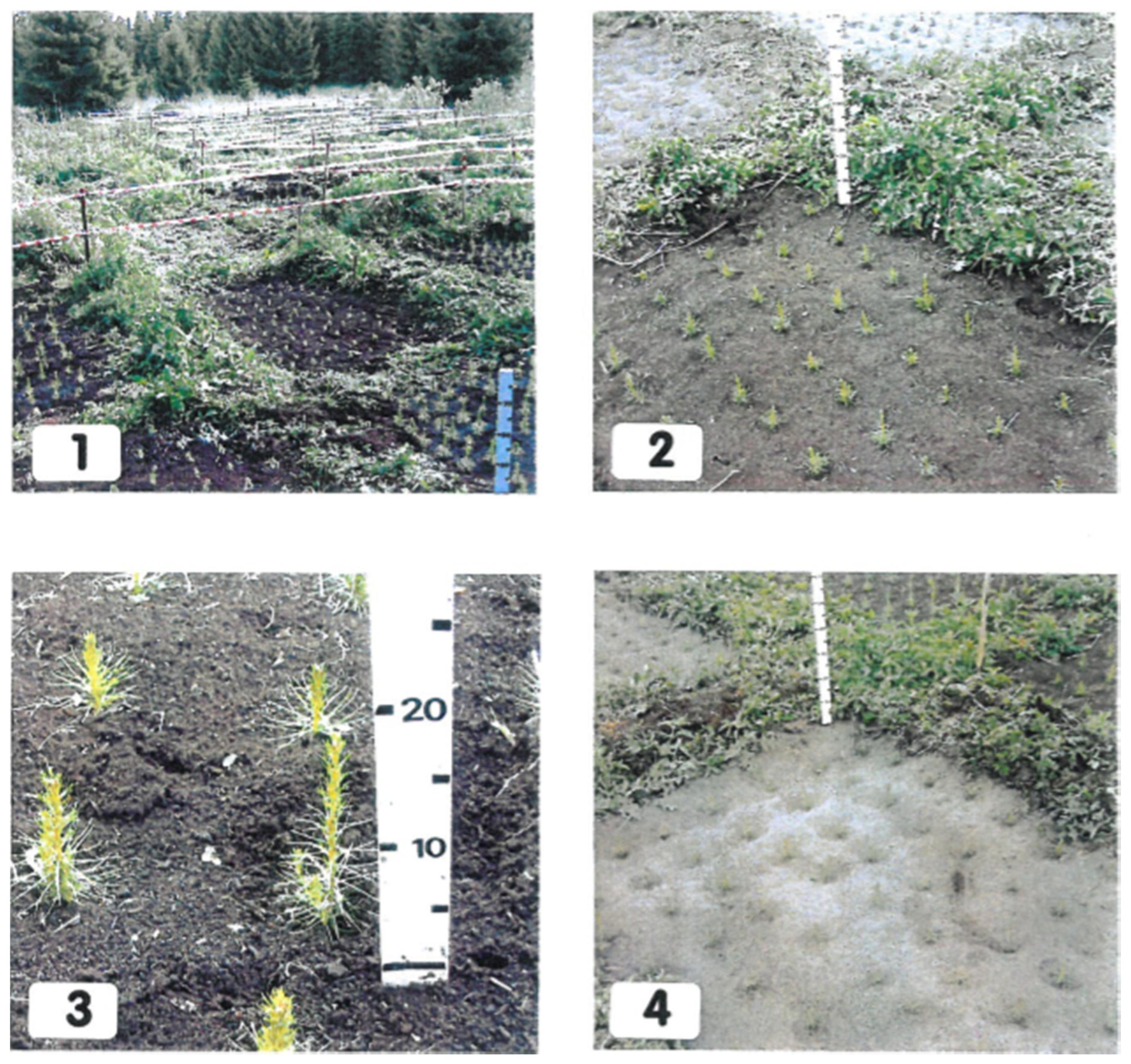 Sustainability | Free Full-Text | Effect of High Concentrations of ...
