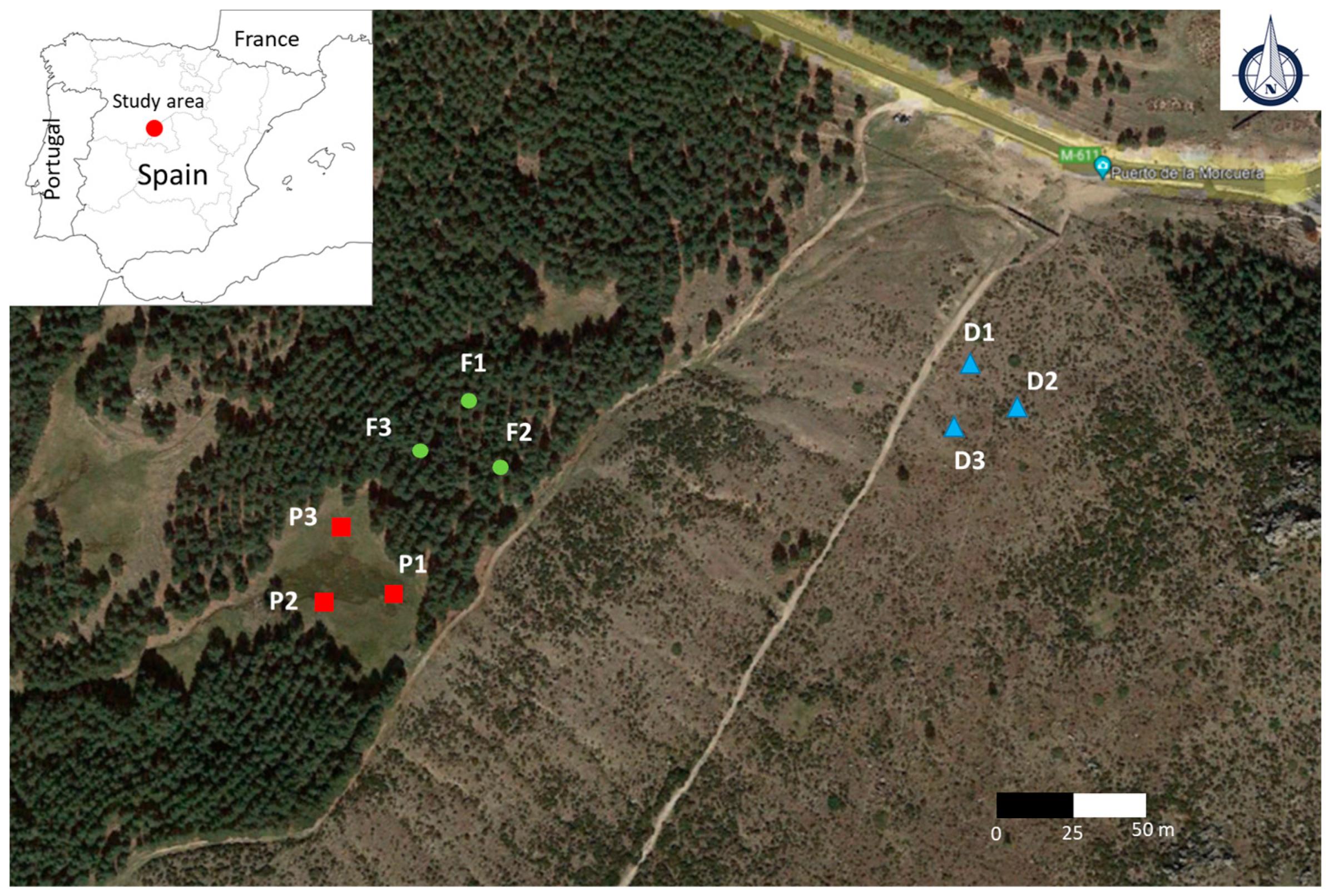 Sustainability | Free Full-Text | Evaluation of Topsoil Carbon ...