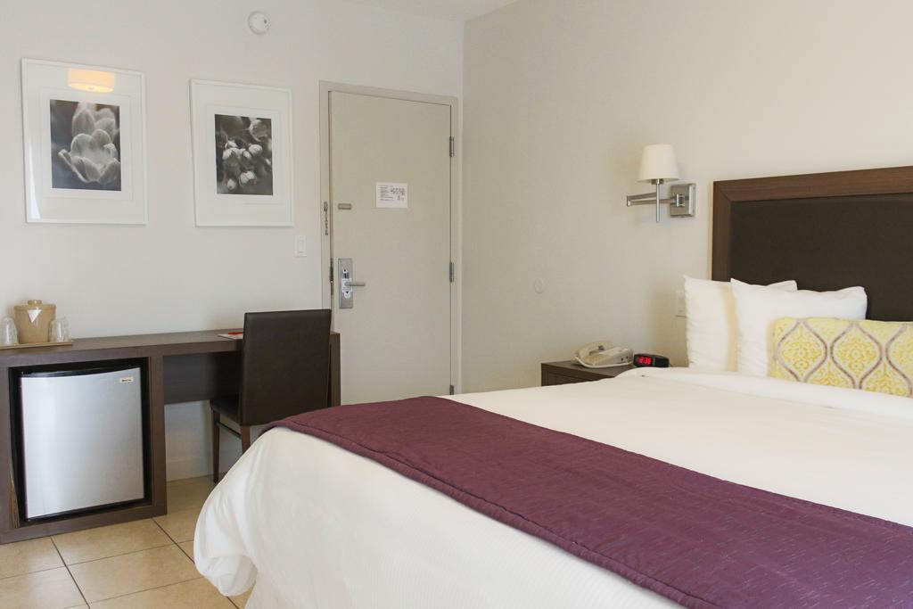 Standaard Kamer met Kingsize Bed - Geen Resorttoeslag