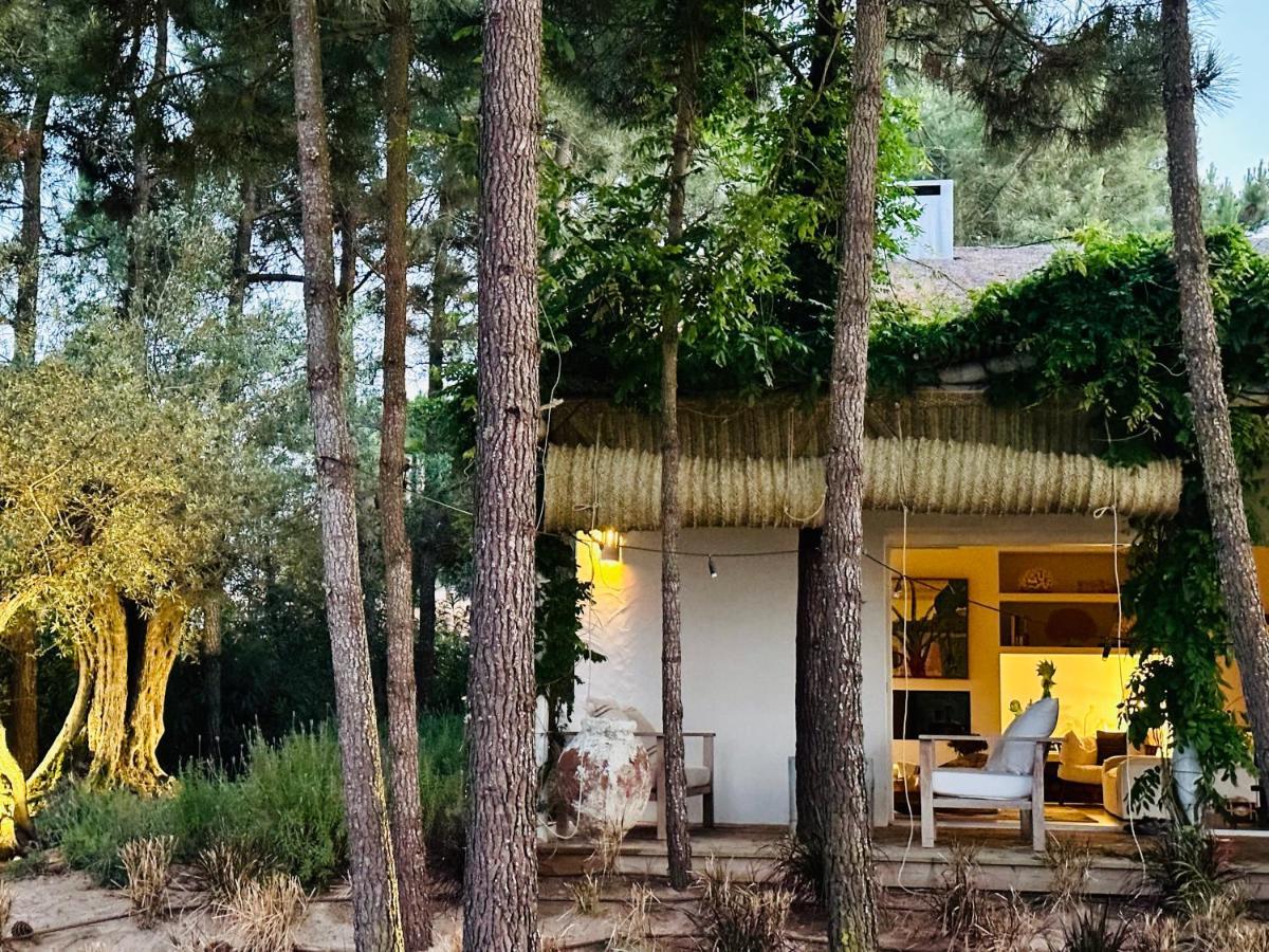 Villa com Piscina Privada