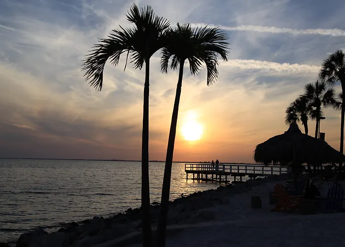 Boutique Hotels in Tampa