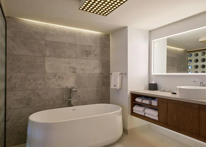 The Westin Detroit Metropolitan Airport Hotel Romulus