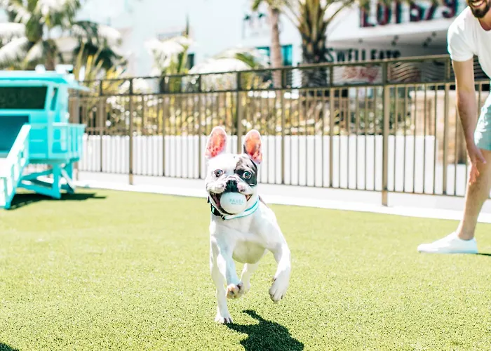 Pasea Hotel & Spa Huntington Beach