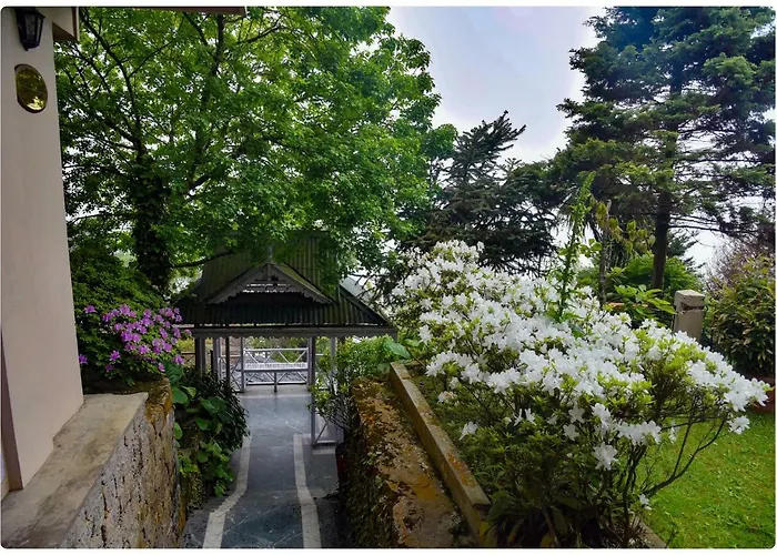 Cedar Inn Darjeeling 